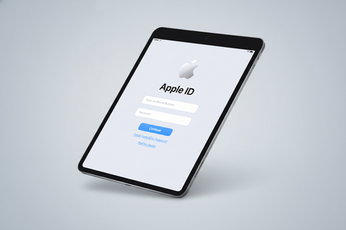 Apple ID on your iPad

        
        
        <div class=
