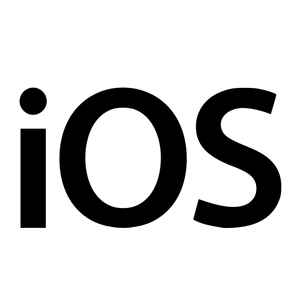 Major Apple iOS 13 security flaw discovered. Advised to wait until 13.1 for security fix.
